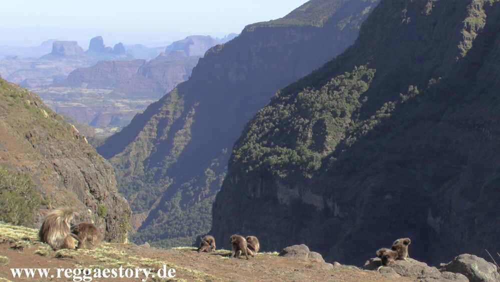Ethiopia - Amhara - Simien Mountains