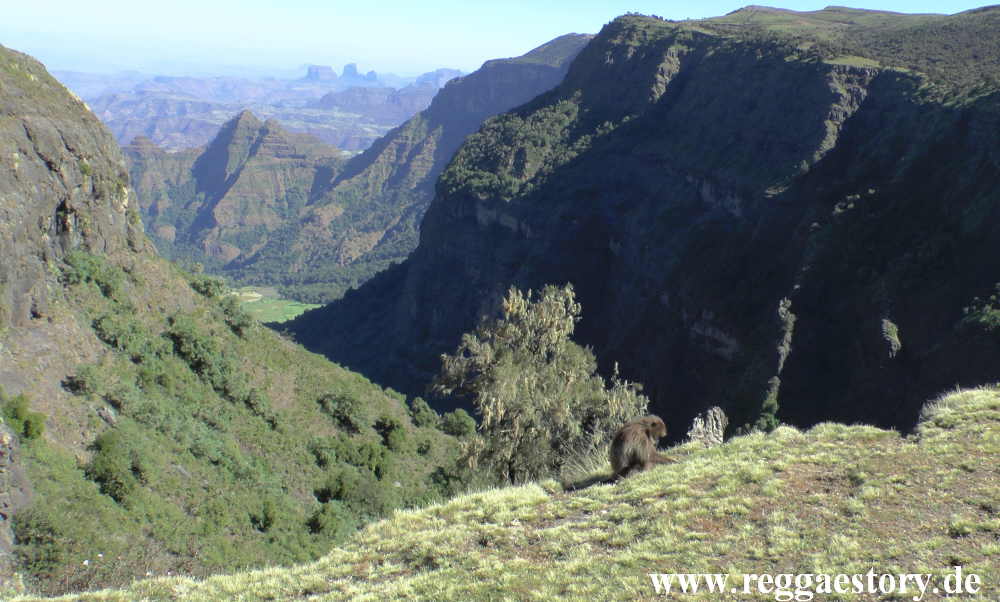 Ethiopia - Amhara - Simien Mountains