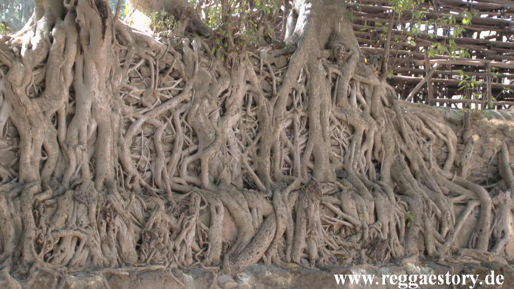 Ethiopia - Amhara - Gondar - Bad des Fasilidas