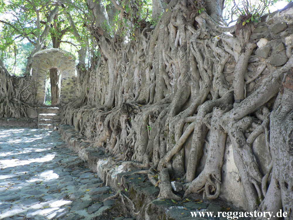 Ethiopia - Amhara - Gondar - Bad des Fasilidas