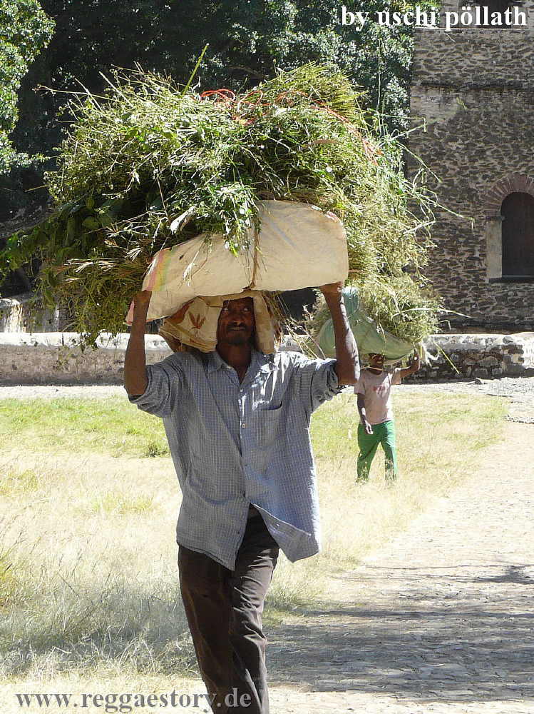 Ethiopia - Amhara - Gondar - Bad des Fasilidas