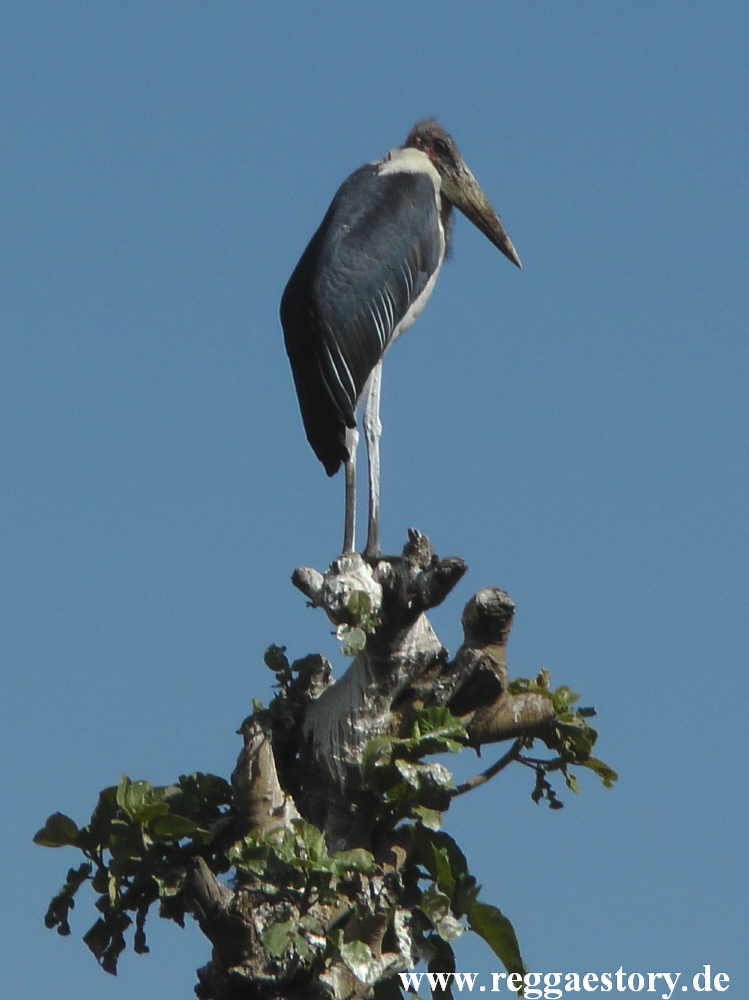 Ethiopia - Amhara - Bahir Dar