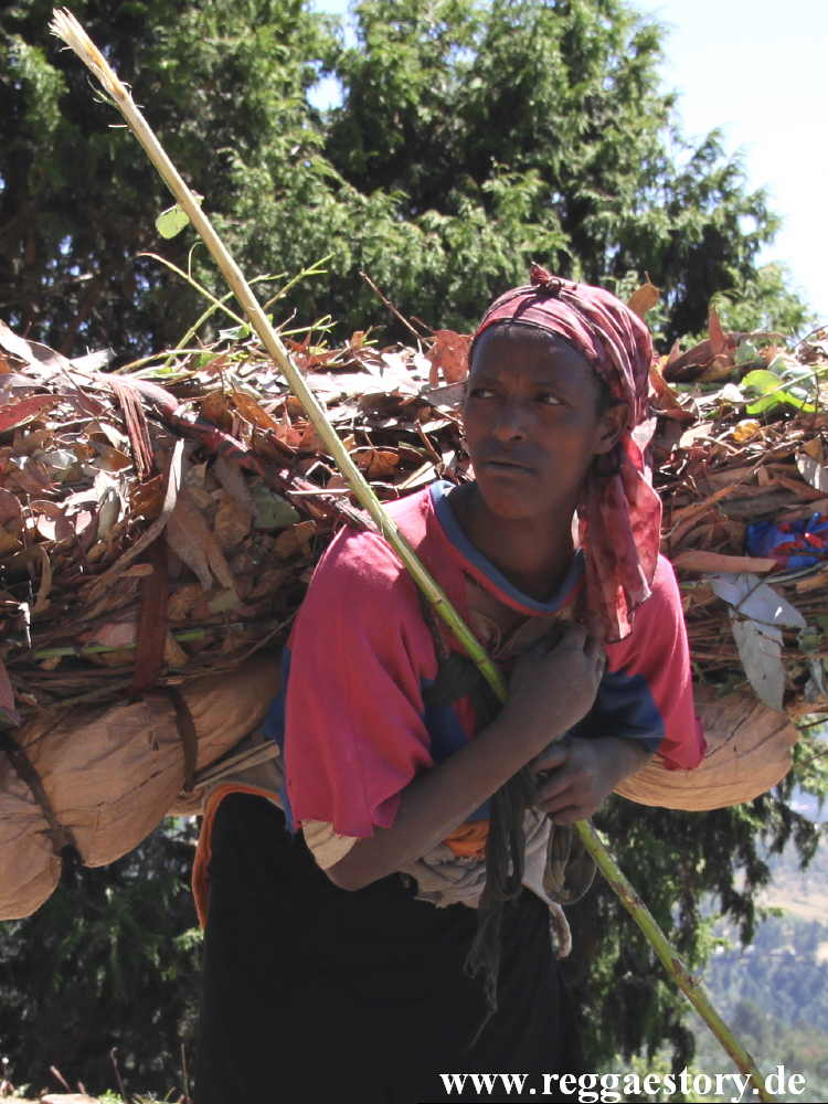 Ethiopia - Addis Ababa - Mount Entoto