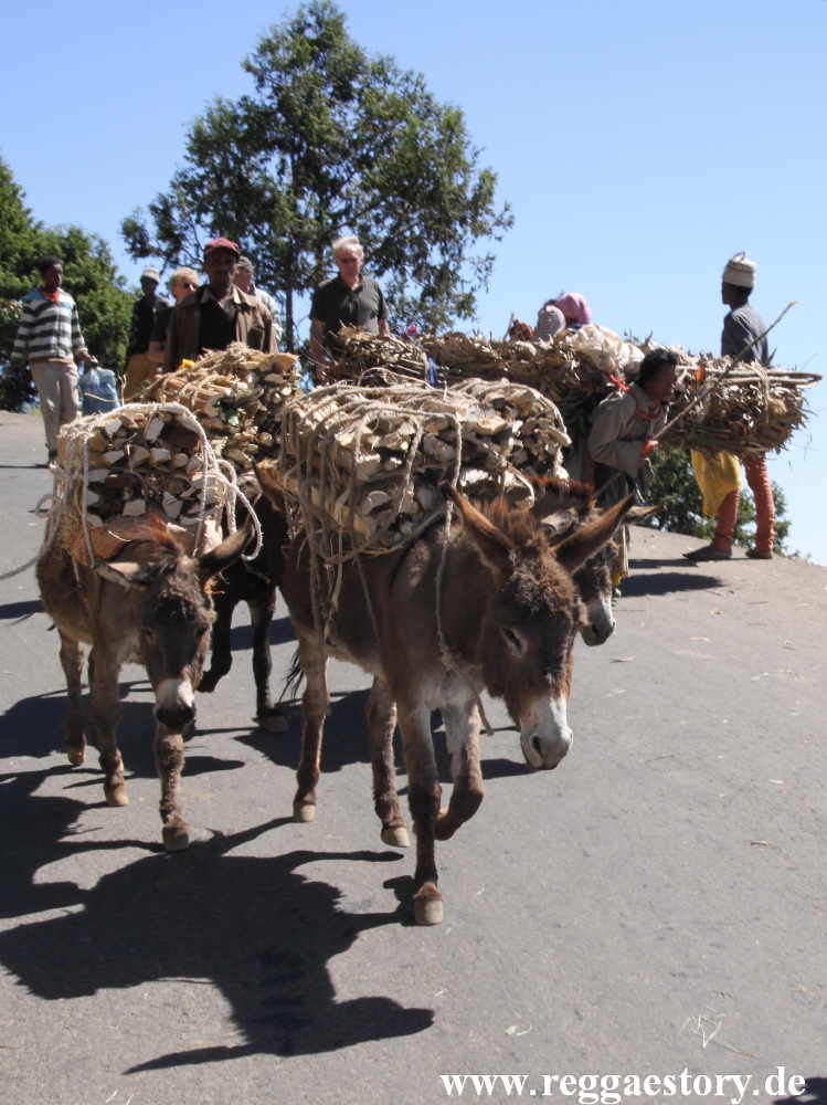 Ethiopia - Addis Ababa - Mount Entoto