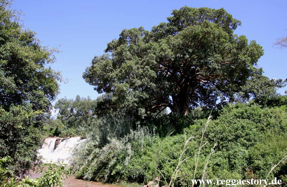 Ethiopia - Guder Falls