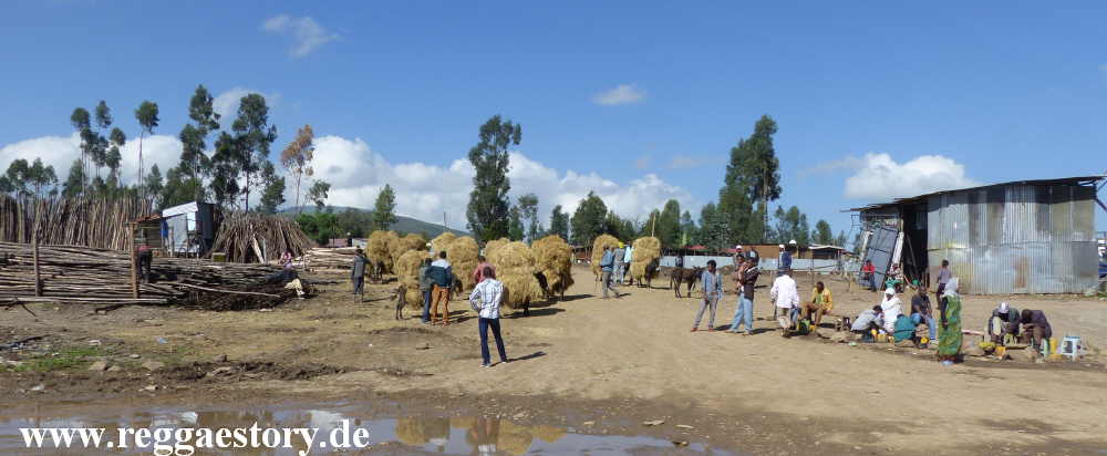Ethiopia - Strohtransport