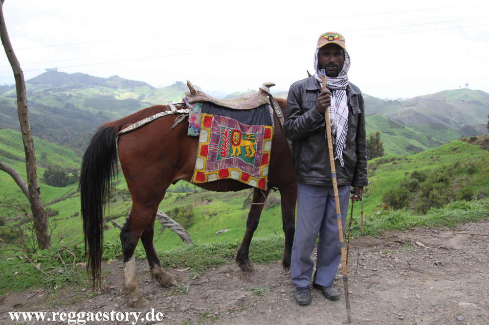 Ethiopia - Oromia - Horse