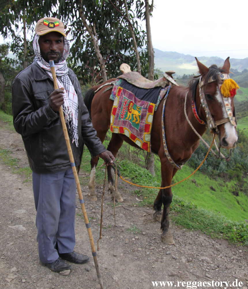 Ethiopia - Oromia - Horse