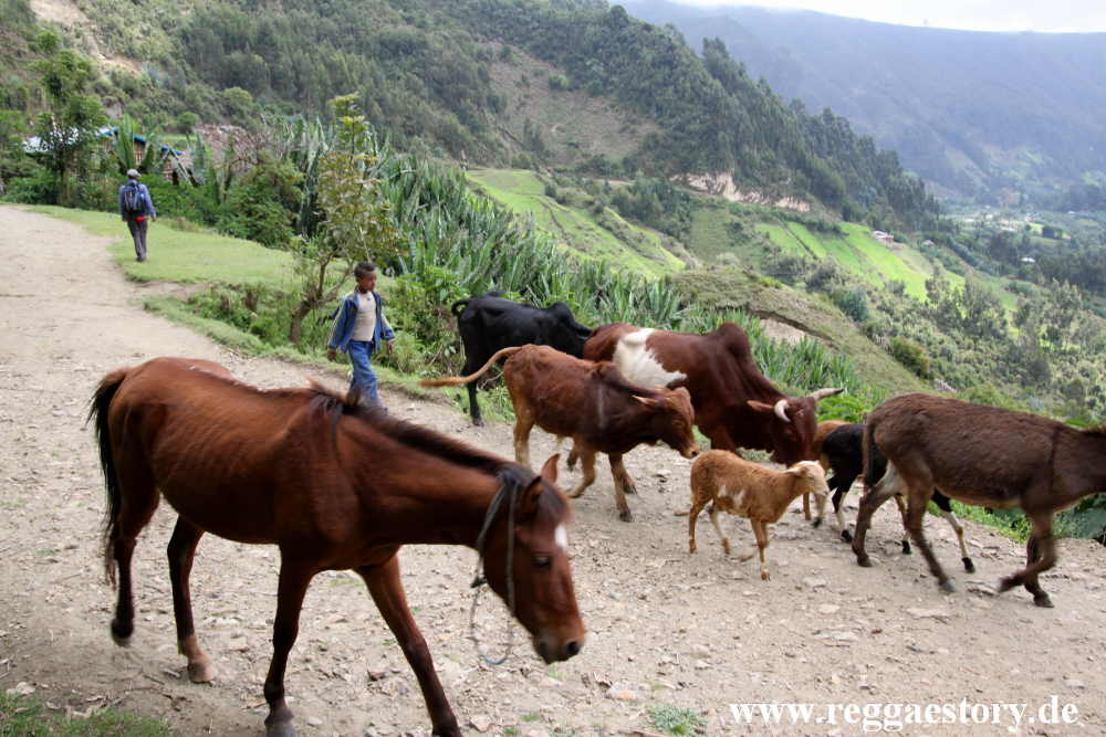 Ethiopia - Oromia - Wonchi