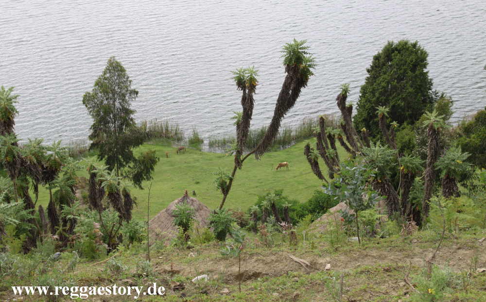 Ethiopia - Oromia - Wonchi