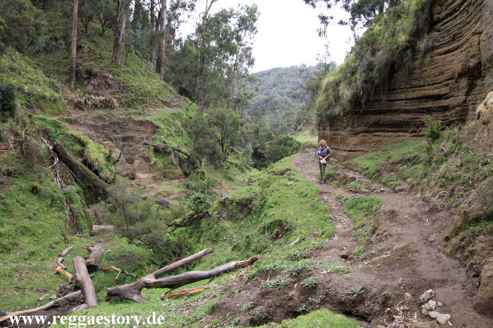 Ethiopia - Oromia - Wonchi