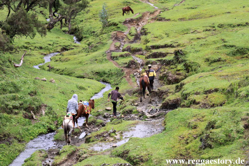 Ethiopia - Oromia - Wonchi