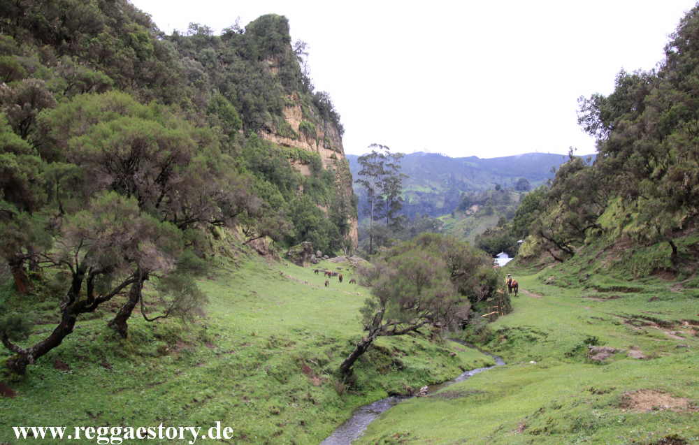 Ethiopia - Oromia - Wonchi