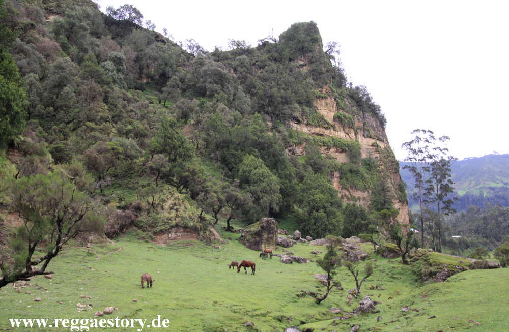 Ethiopia - Oromia - Wonchi