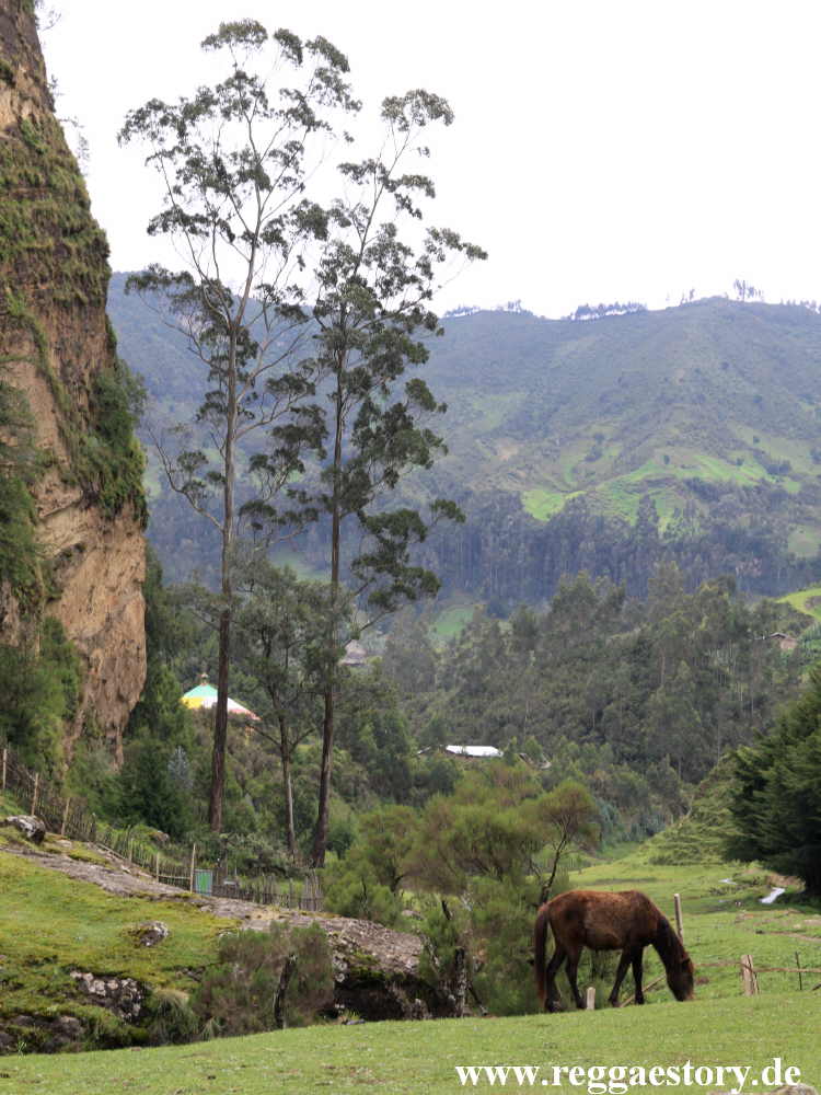 Ethiopia - Oromia - Wonchi