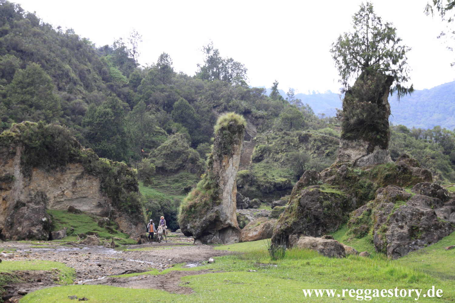Ethiopia - Oromia - Wonchi