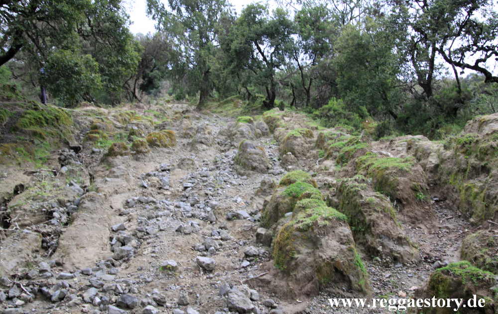 Ethiopia - Oromia - Wonchi