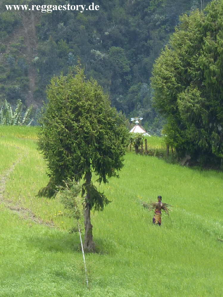 Ethiopia - Oromia - Wonchi