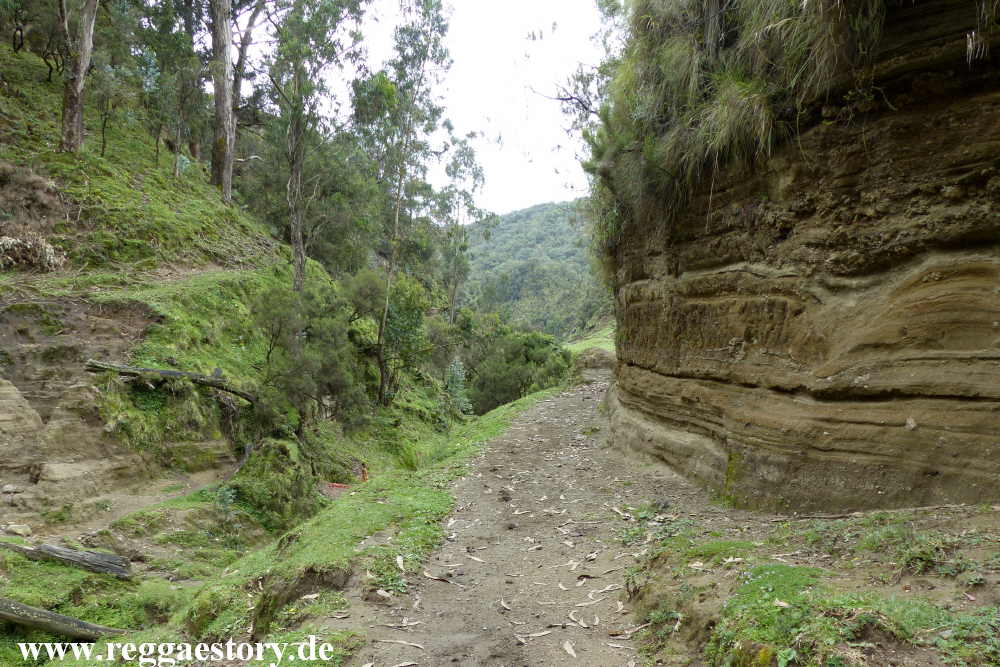 Ethiopia - Oromia - Wonchi
