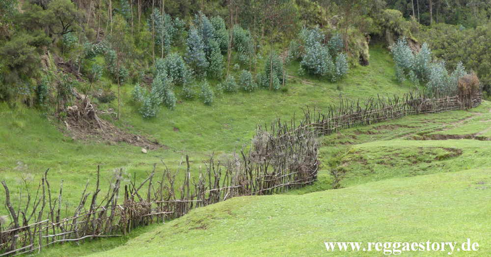 Ethiopia - Oromia - Wonchi