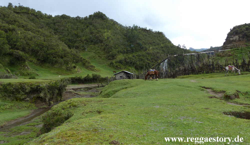 Ethiopia - Oromia - Wonchi