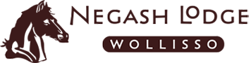 Negash Resort