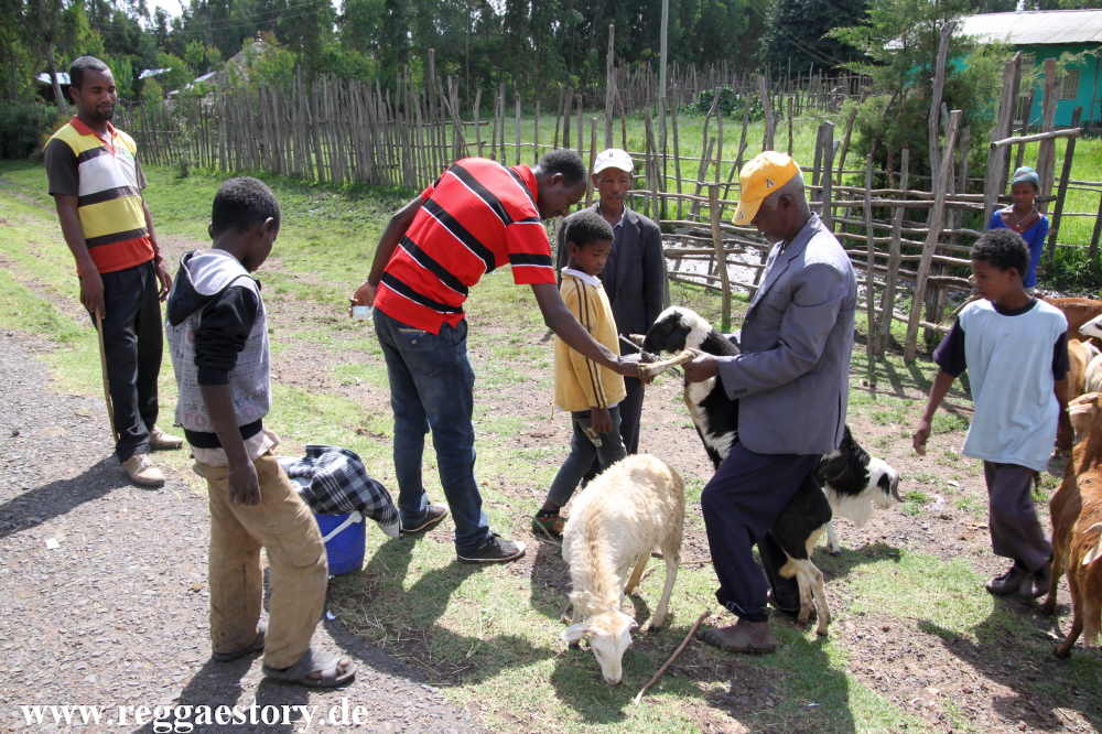 Ethiopia 2015 -Tierimpfung