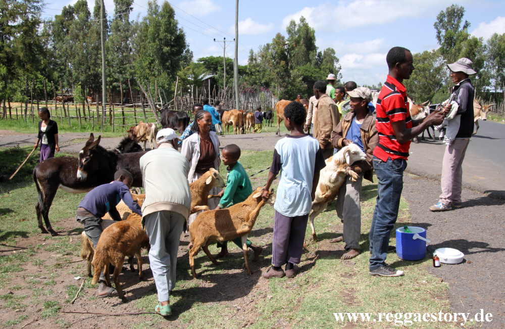 Ethiopia 2015 -Tierimpfung
