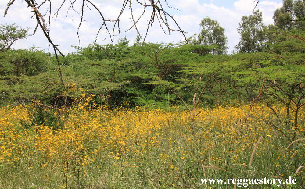 Ethiopia - Melka Kunture