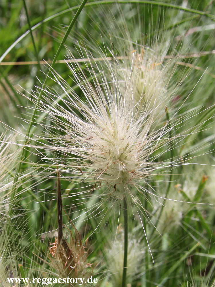 Ethiopia - Melka Kunture