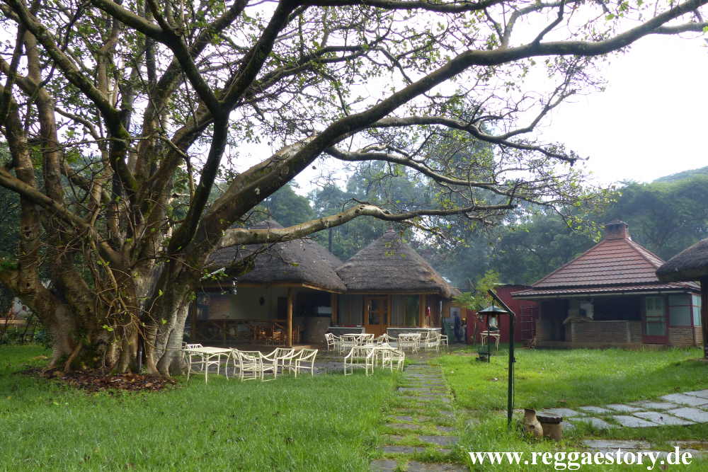 Ethiopia - Wolisso - Negash Lodge