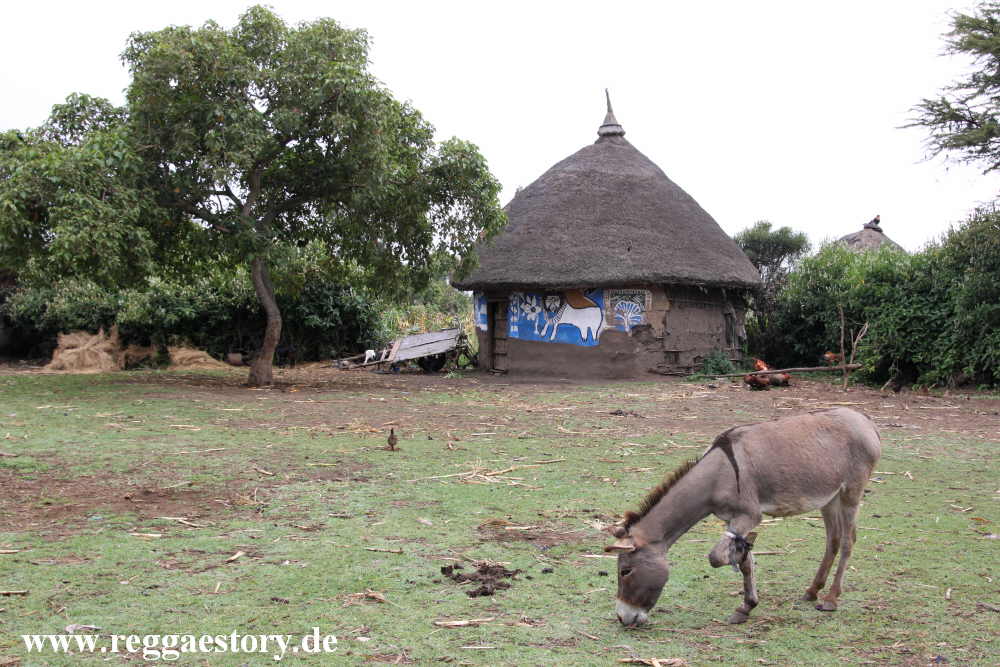 Ethiopia - Rundh&uuml;tte