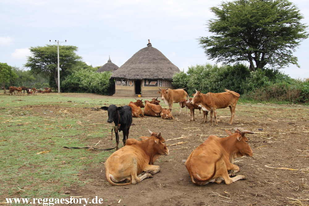 Ethiopia - Rundh&uuml;tten