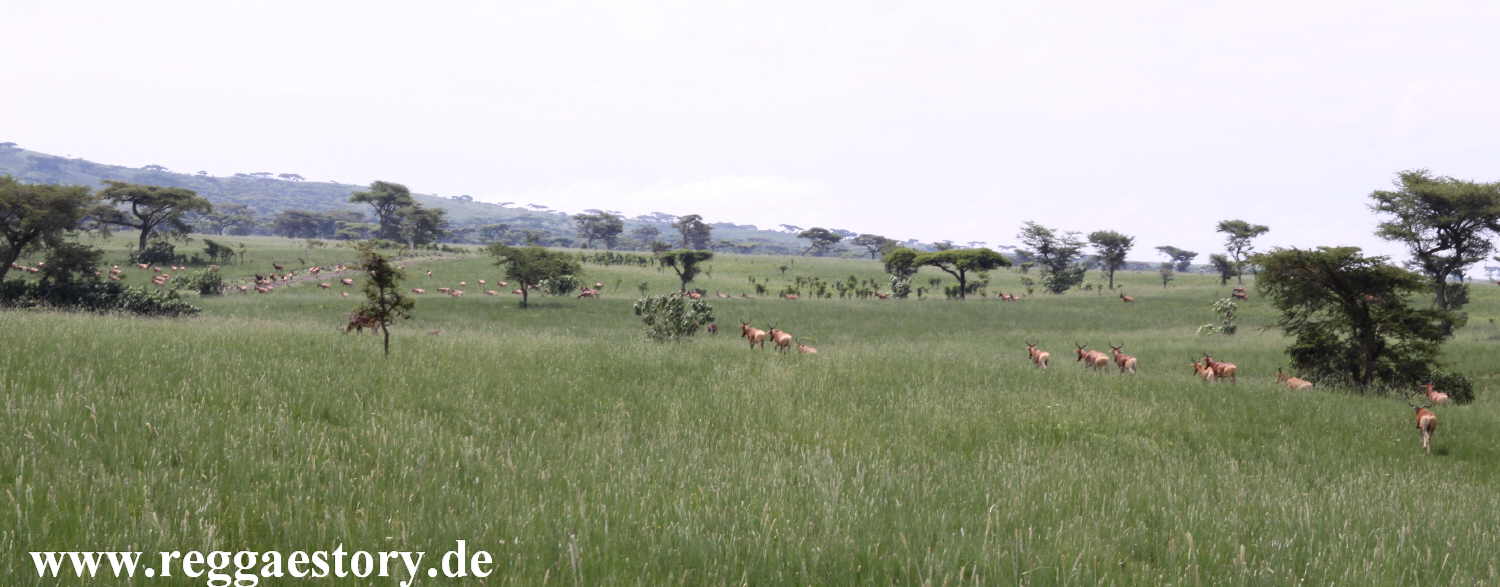 Senkelle Wildlife Sanctuary