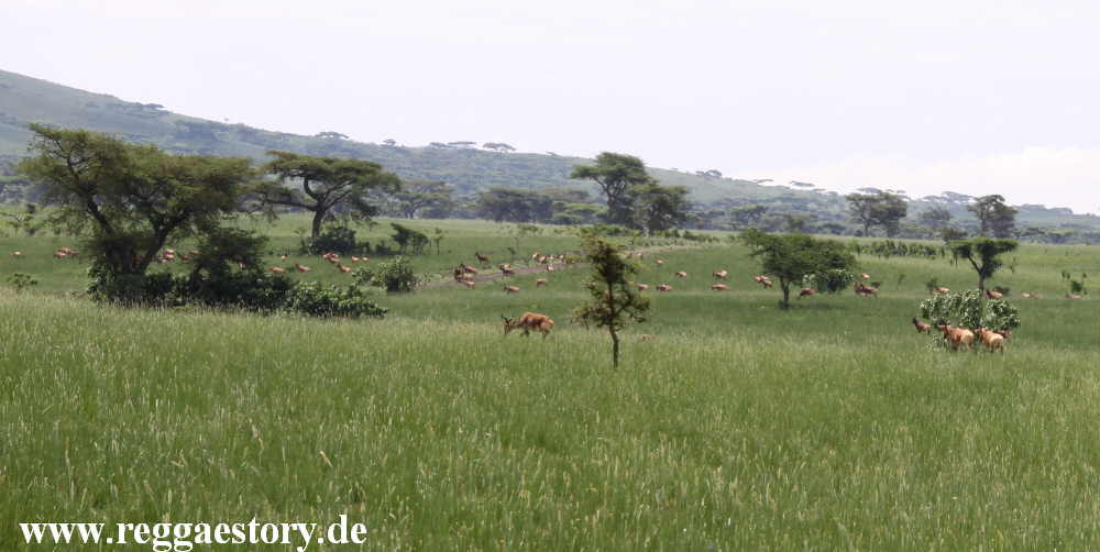 Senkelle Wildlife Sanctuary