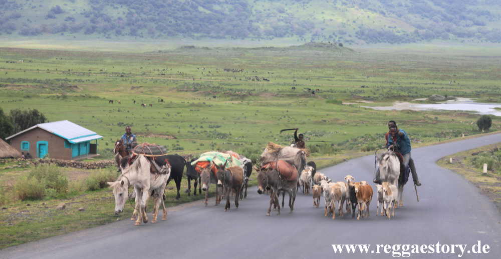 Ethiopia - Oromia - Gaysay Grassland