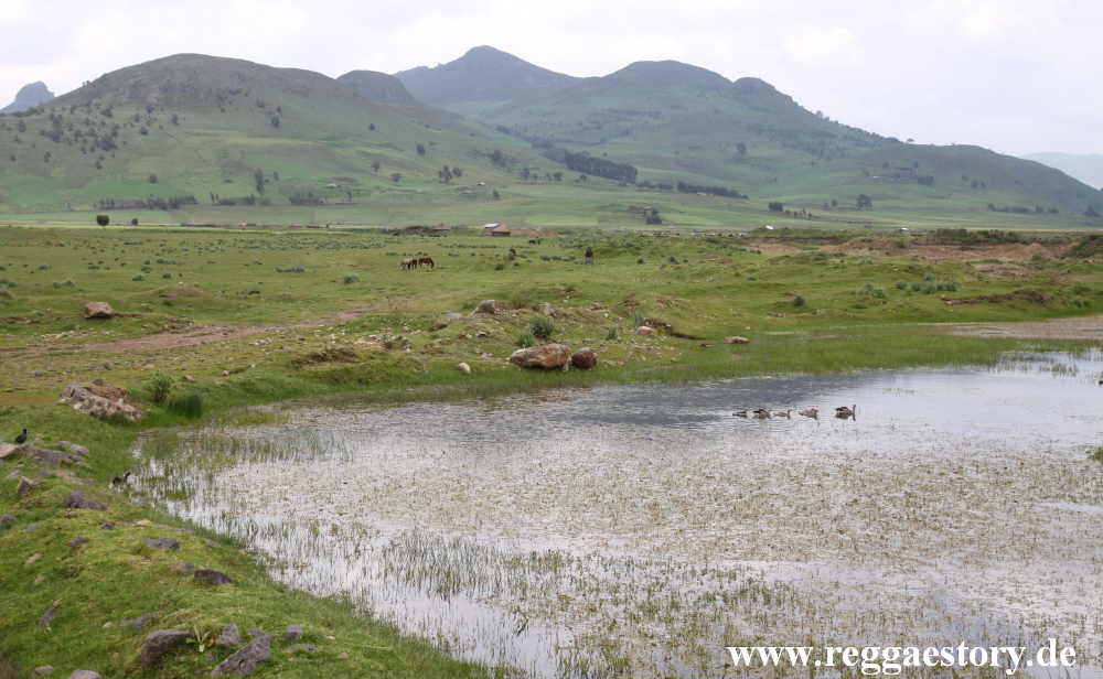 Ethiopia - Oromia - Gaysay Grassland