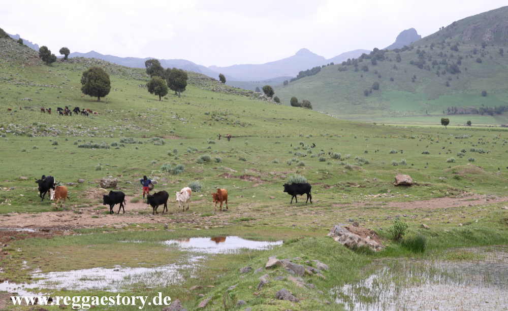 Ethiopia - Oromia - Gaysay Grassland