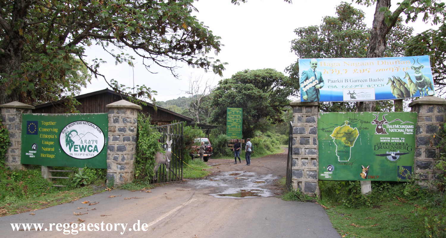 Ethiopia - Oromia - Bale Mountains National Park HQ - Dinsho