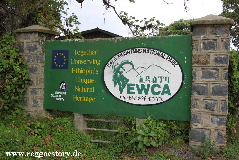 Ethiopia - Oromia - Bale Mountains National Park HQ - Dinsho