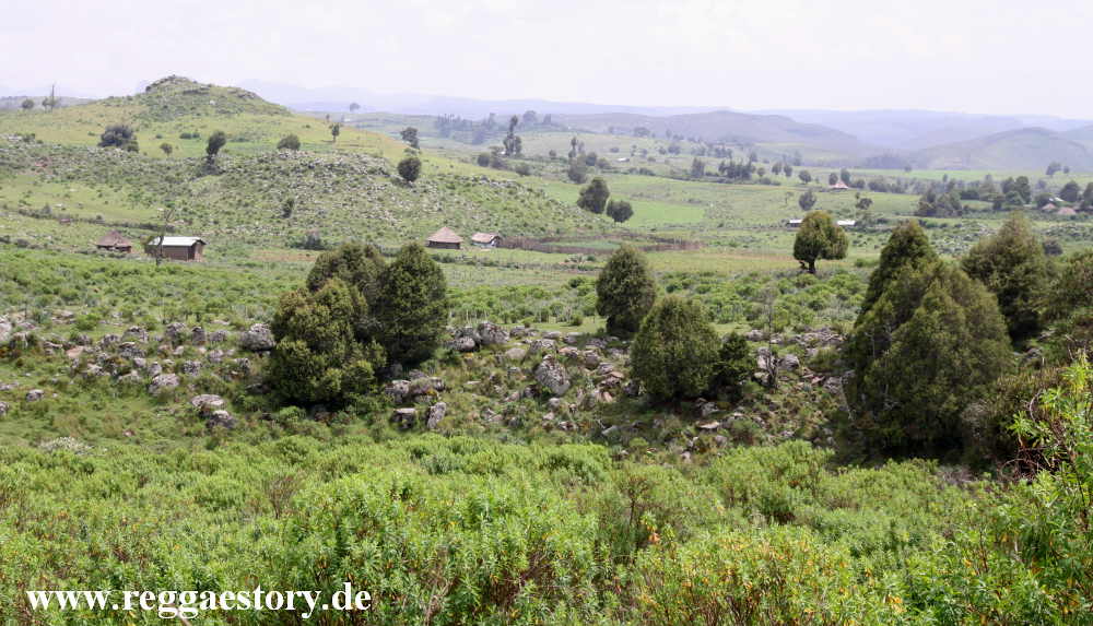 Ethiopia - Oromia - Bale Mountains Nationalpark - Dinsho