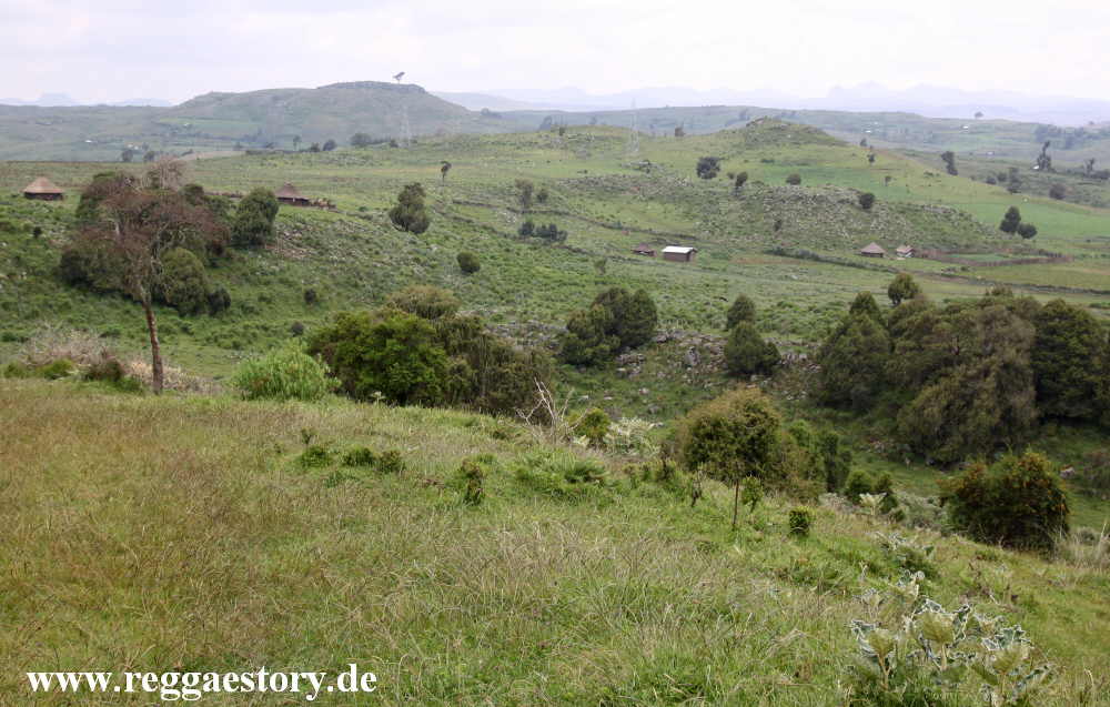Ethiopia - Oromia - Bale Mountains Nationalpark - Dinsho