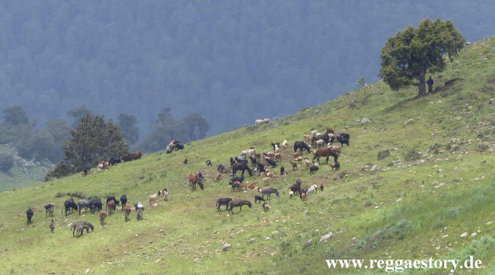 Ethiopia - Oromia
