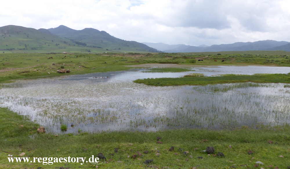 Ethiopia - Oromia - Gaysay Grassland
