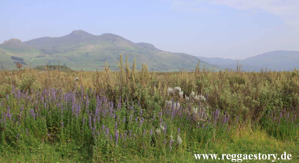 Ethiopia - Oromia - Gaysay Grassland
