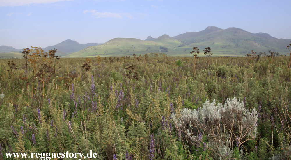 Ethiopia - Oromia - Gaysay Grassland