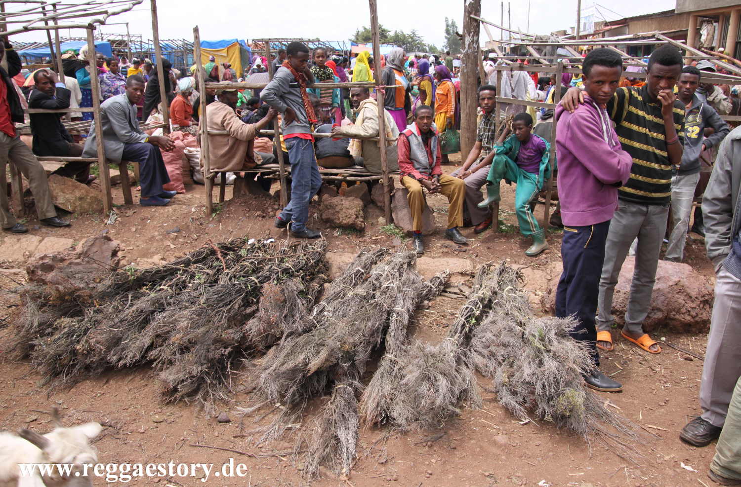Ethiopia - Oromia - Bekoji - Market