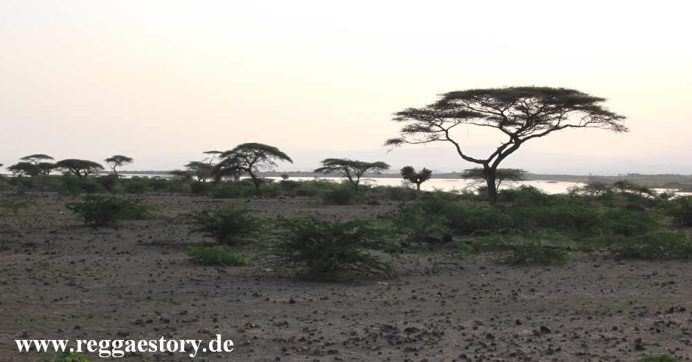 Ethiopia - Oromia - Lake Basaka - Matahara