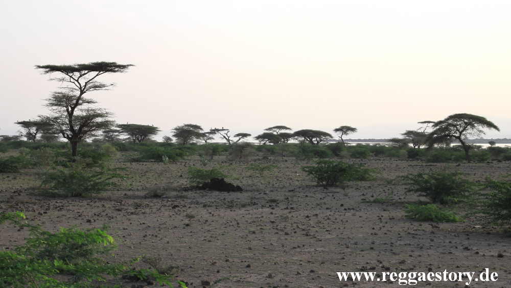 Ethiopia - Oromia - Lake Basaka - Matahara