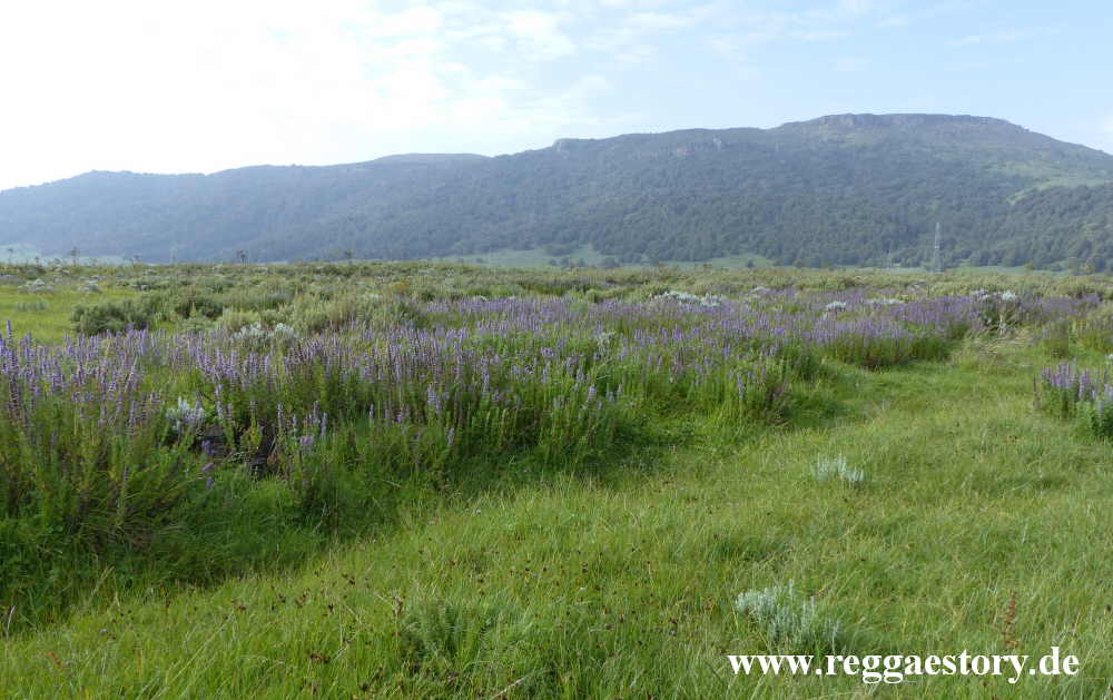 Ethiopia - Oromia - Gaysay Grassland